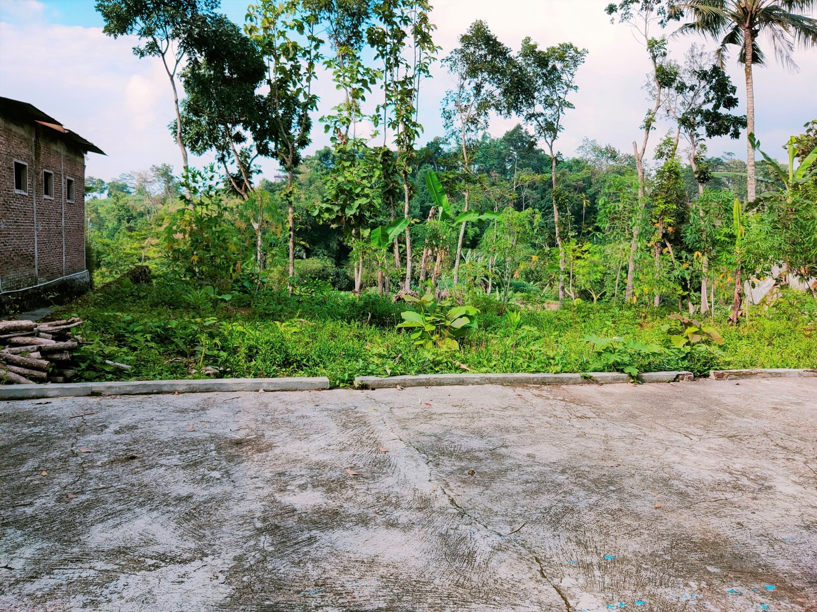 Tanah Dekat Ponpes Isy Karima & Al Azhar Karangpandan Karanganyar - 2