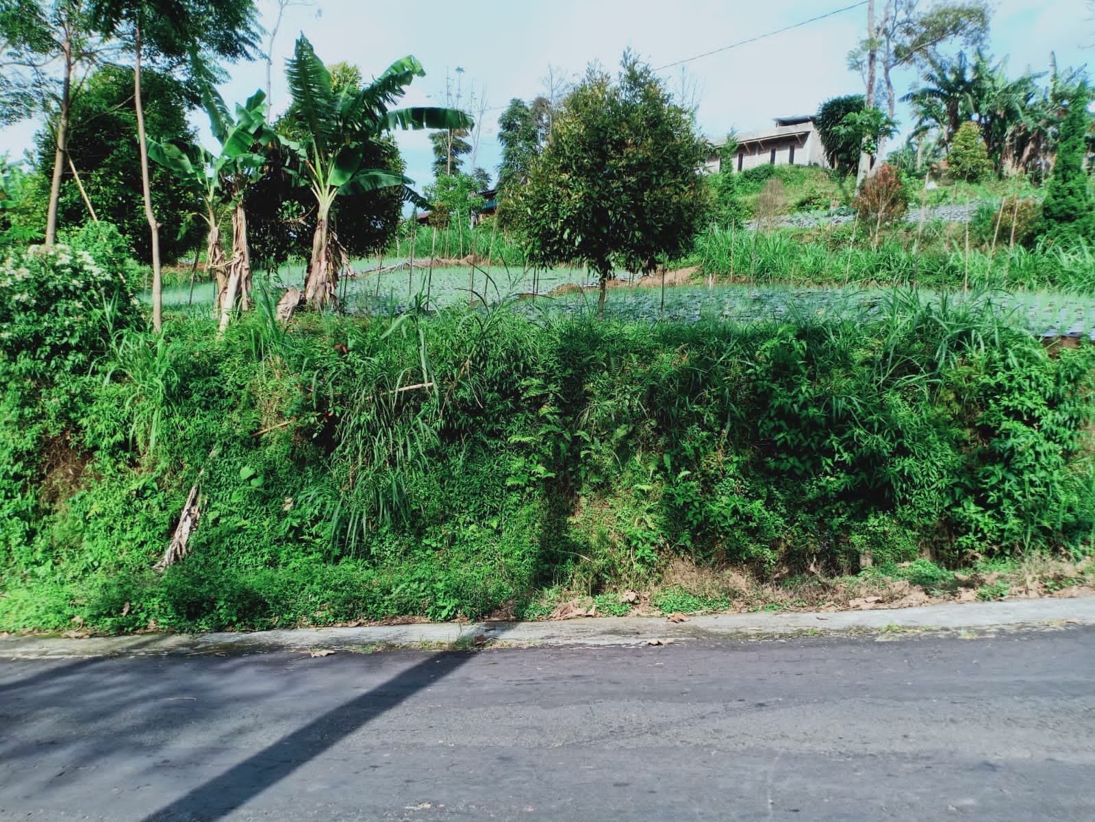 Dijual Tanah Strategis di Kemuning Ngargoyoso Karanganyar - 2