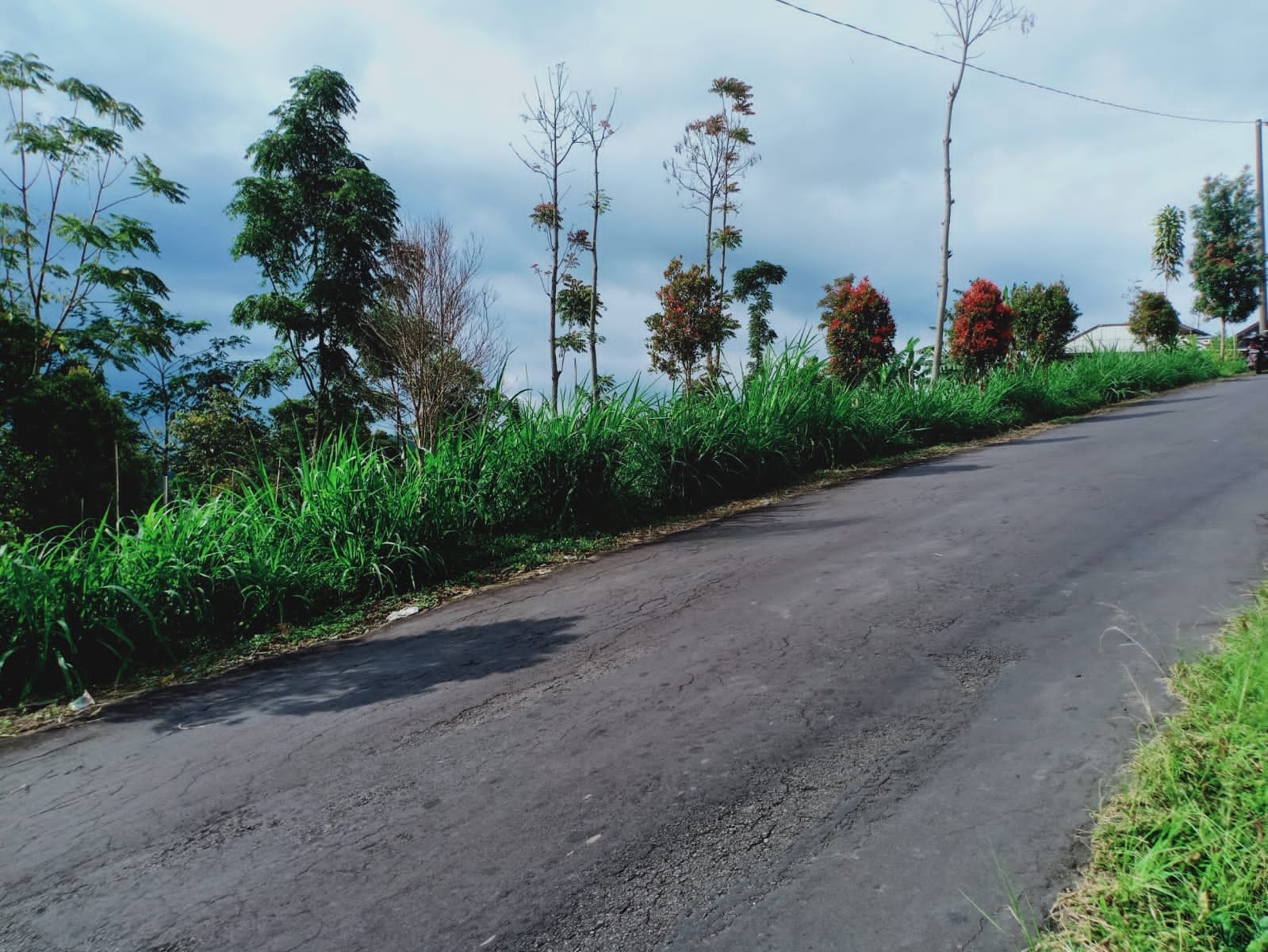 Dijual Tanah Strategis di Kemuning Ngargoyoso Karanganyar - 6