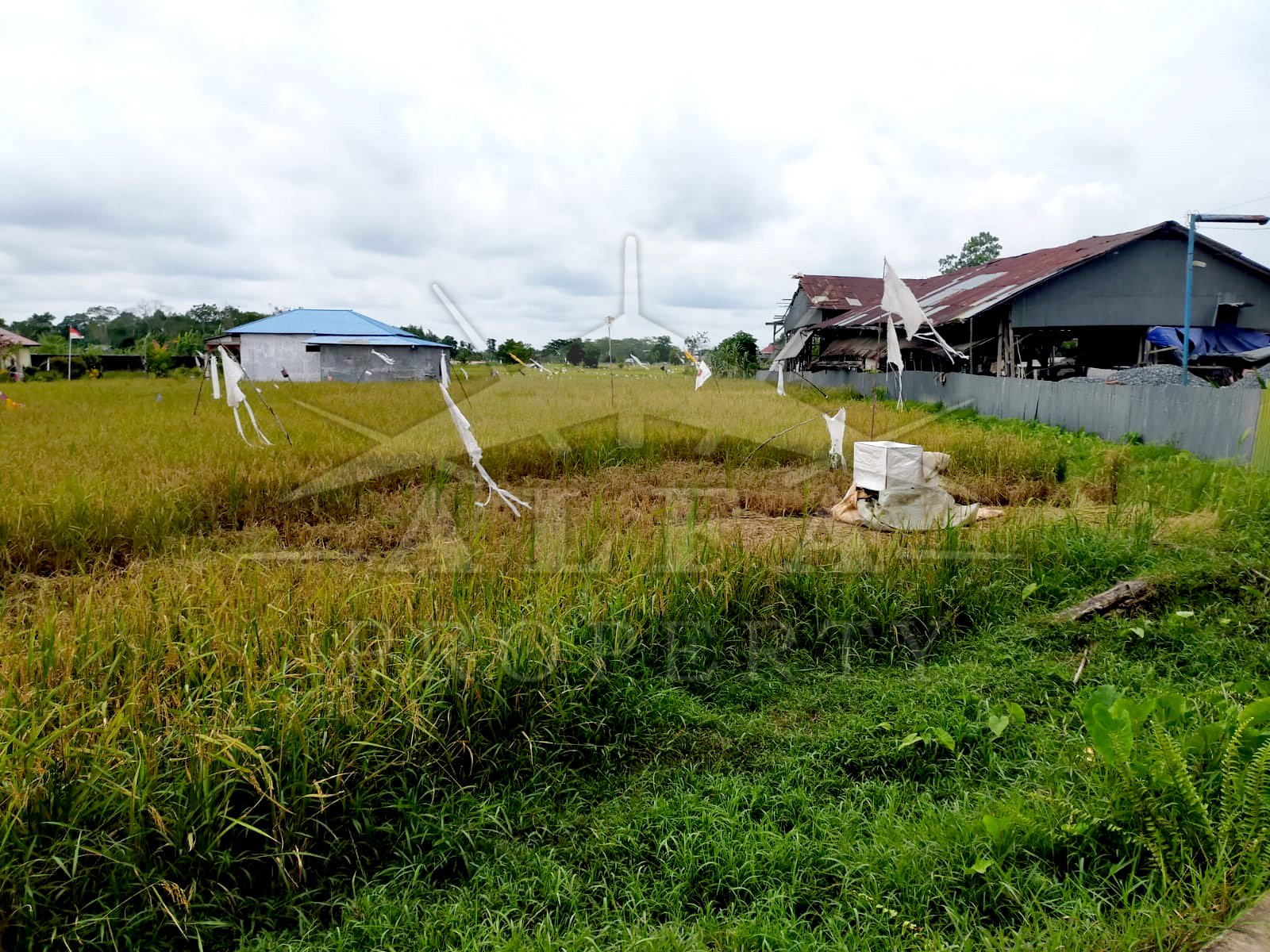 Tanah Ahmad Yani 2, Pontianak, Kalimantan Barat - 2