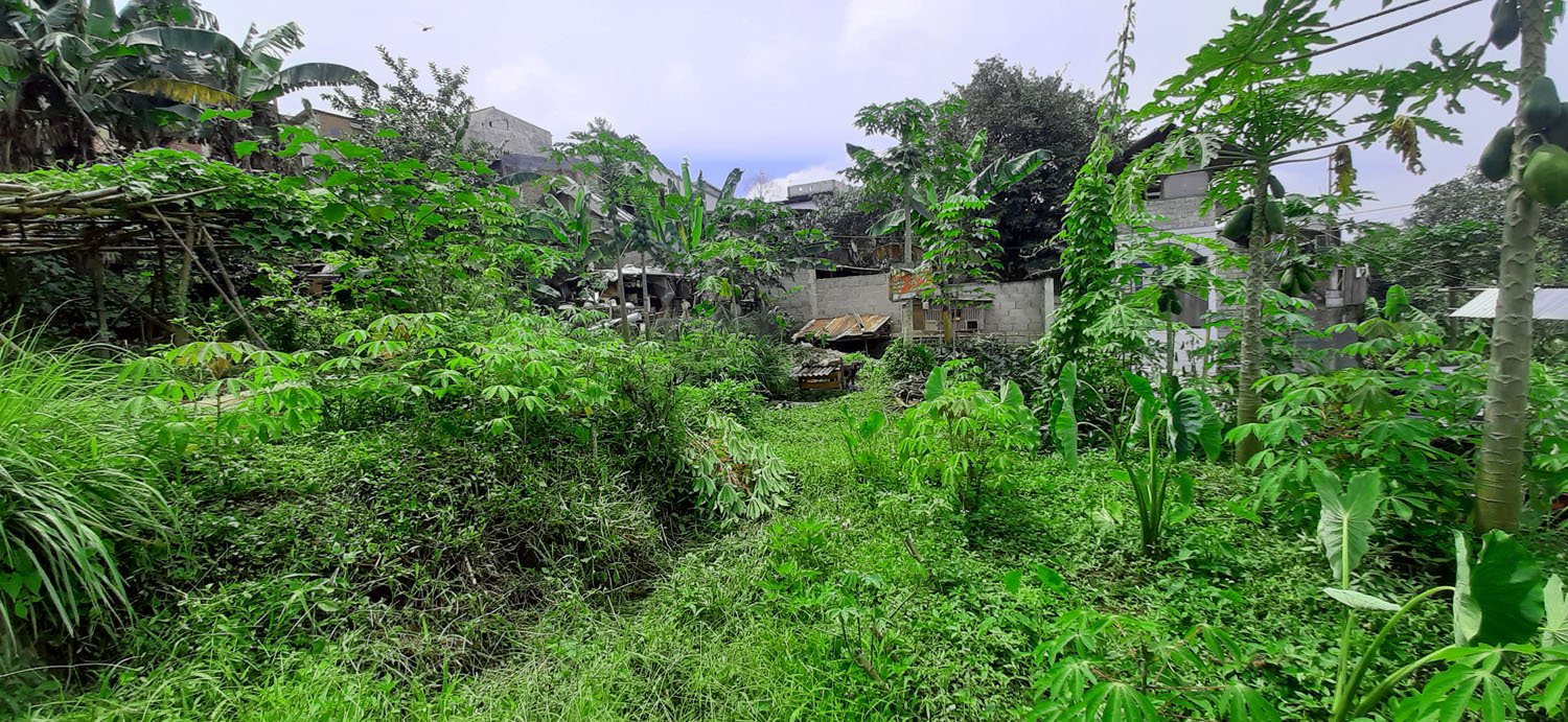 TANAH HUNIAN DI KAMPUNG PADI DAGO BANDUNG - 7