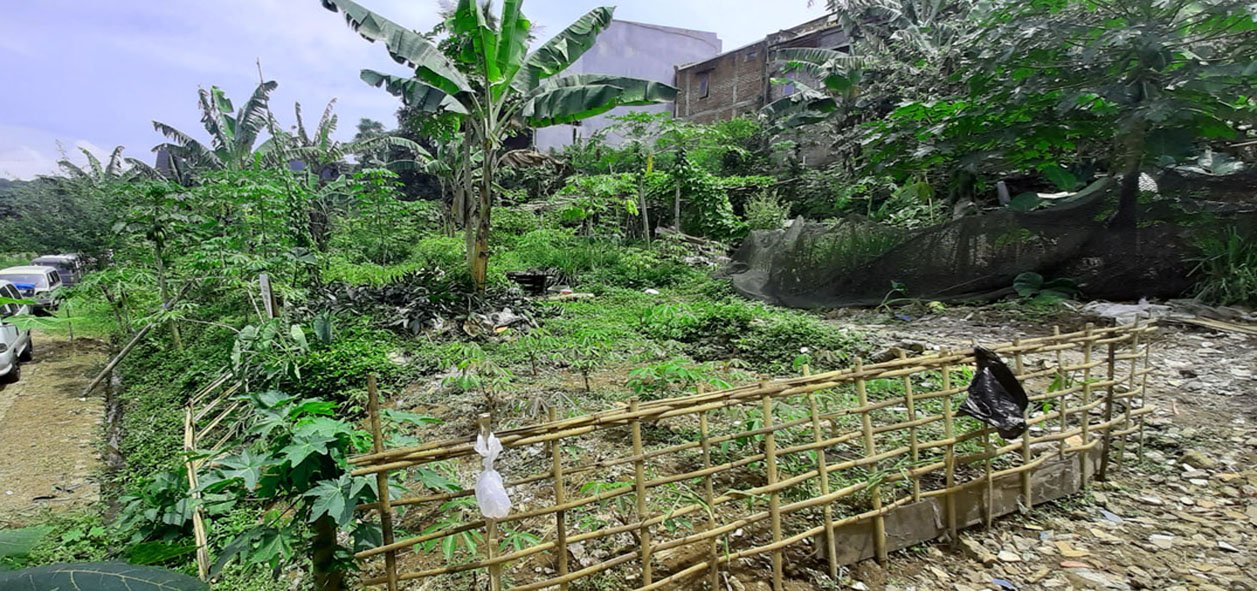 TANAH HUNIAN DI KAMPUNG PADI DAGO BANDUNG - 6