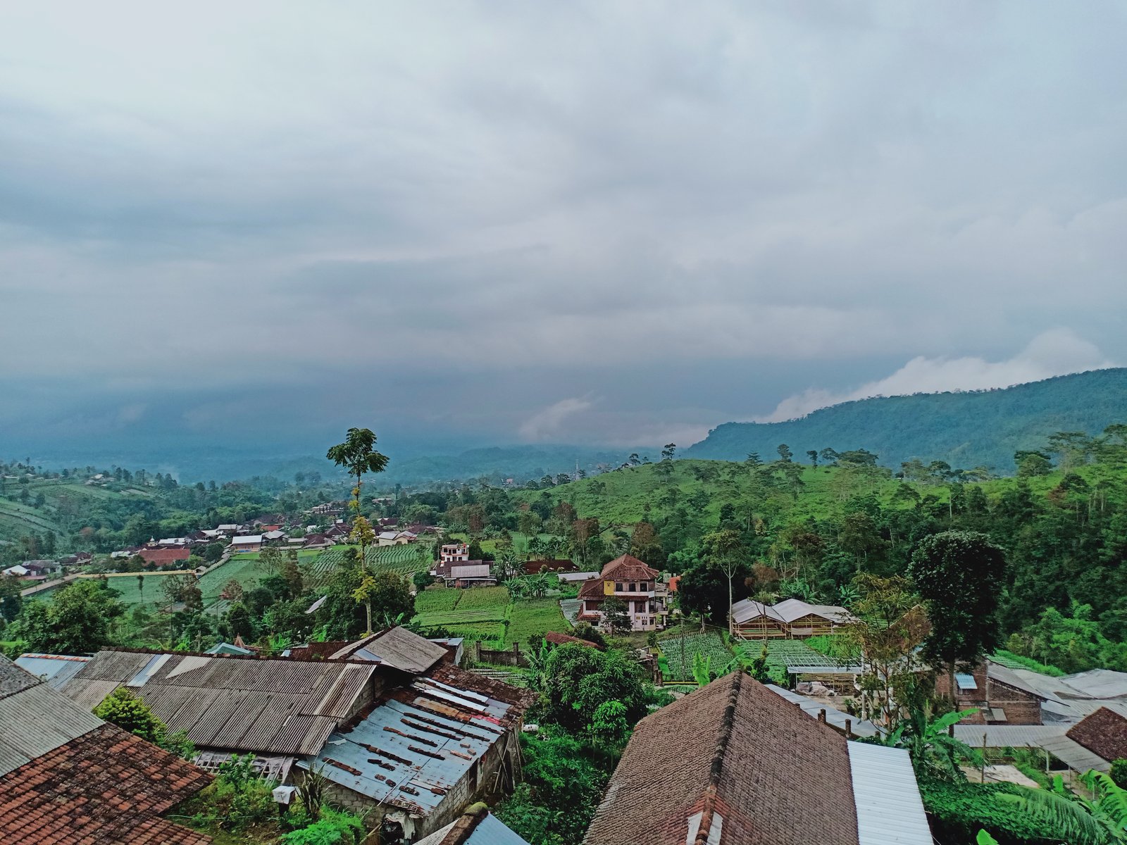 Tanah Strategis dibangun Villa/ Kaffe Kemuning Ngargoyoso Karanganyar - 5