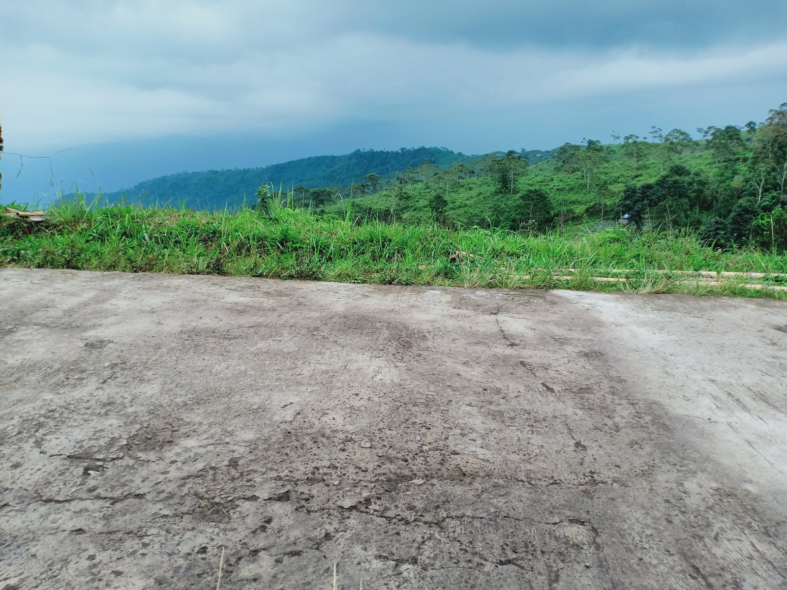 Tanah Strategis dibangun Villa/ Kaffe Kemuning Ngargoyoso Karanganyar - 2