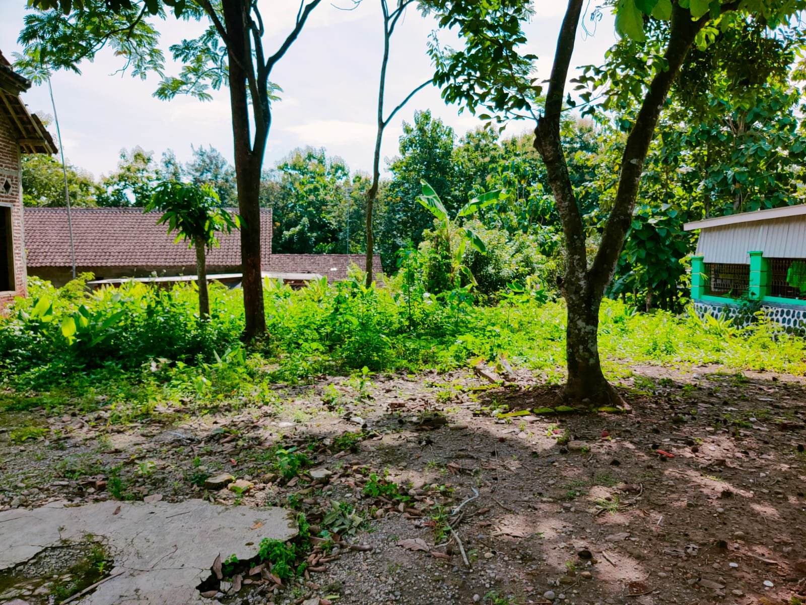 Dijual Tanah Datar Kedawung Sragen - 2