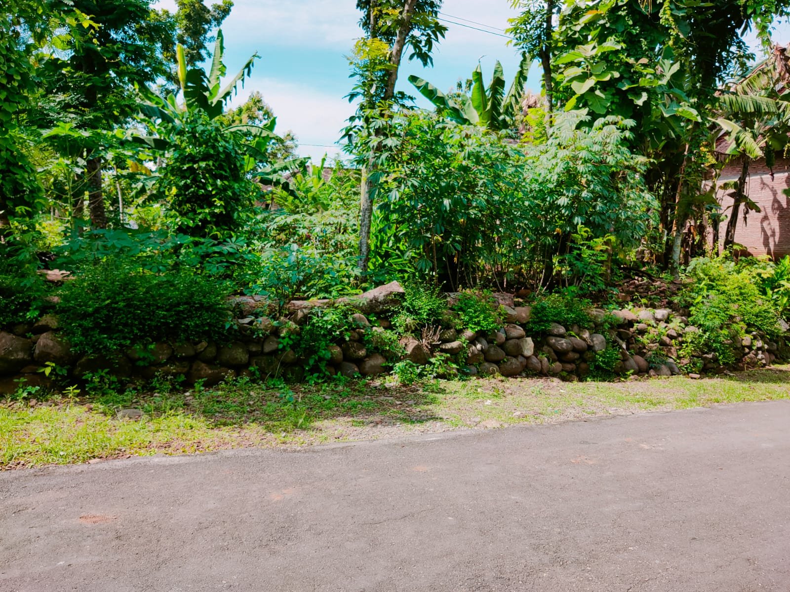 Dijual Tanah Datar Kedawung Sragen - 4