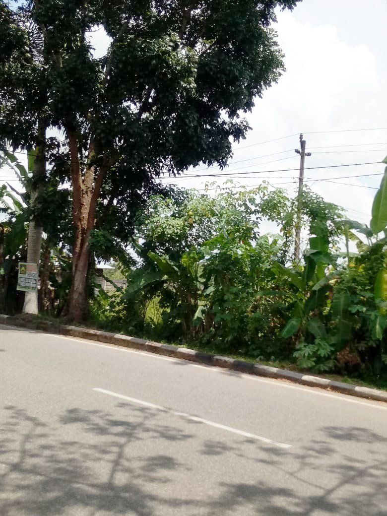 Tanah A. Yani 2, Pontianak, Kalimantan Barat - 2