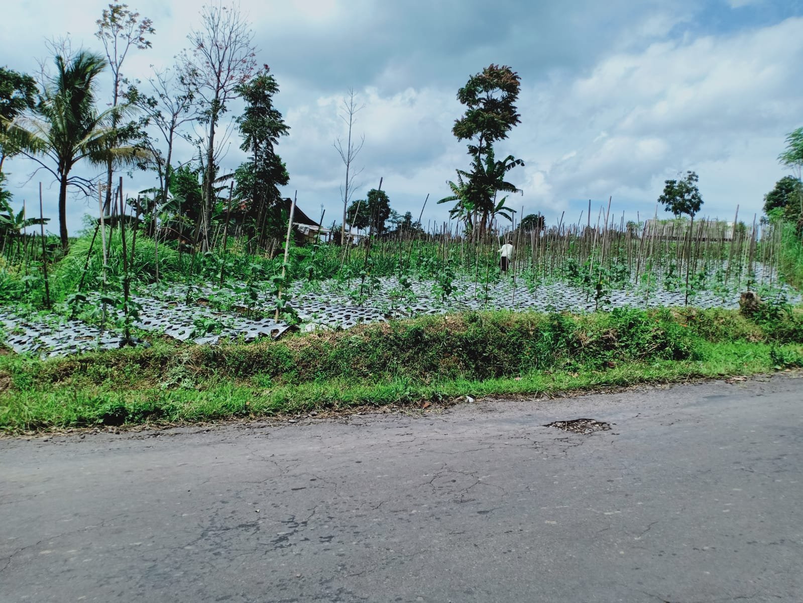 Dijual Tanah Dekat Isy karima Karangpandan Karanganyar - 2