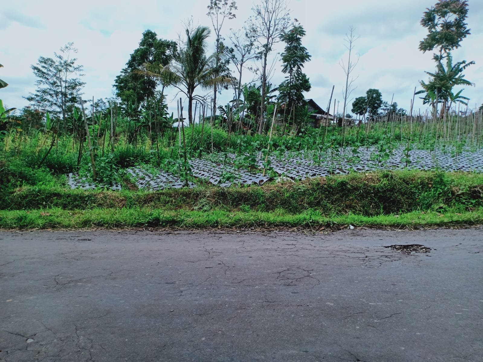 Dijual Tanah Dekat Isy karima Karangpandan Karanganyar - 4