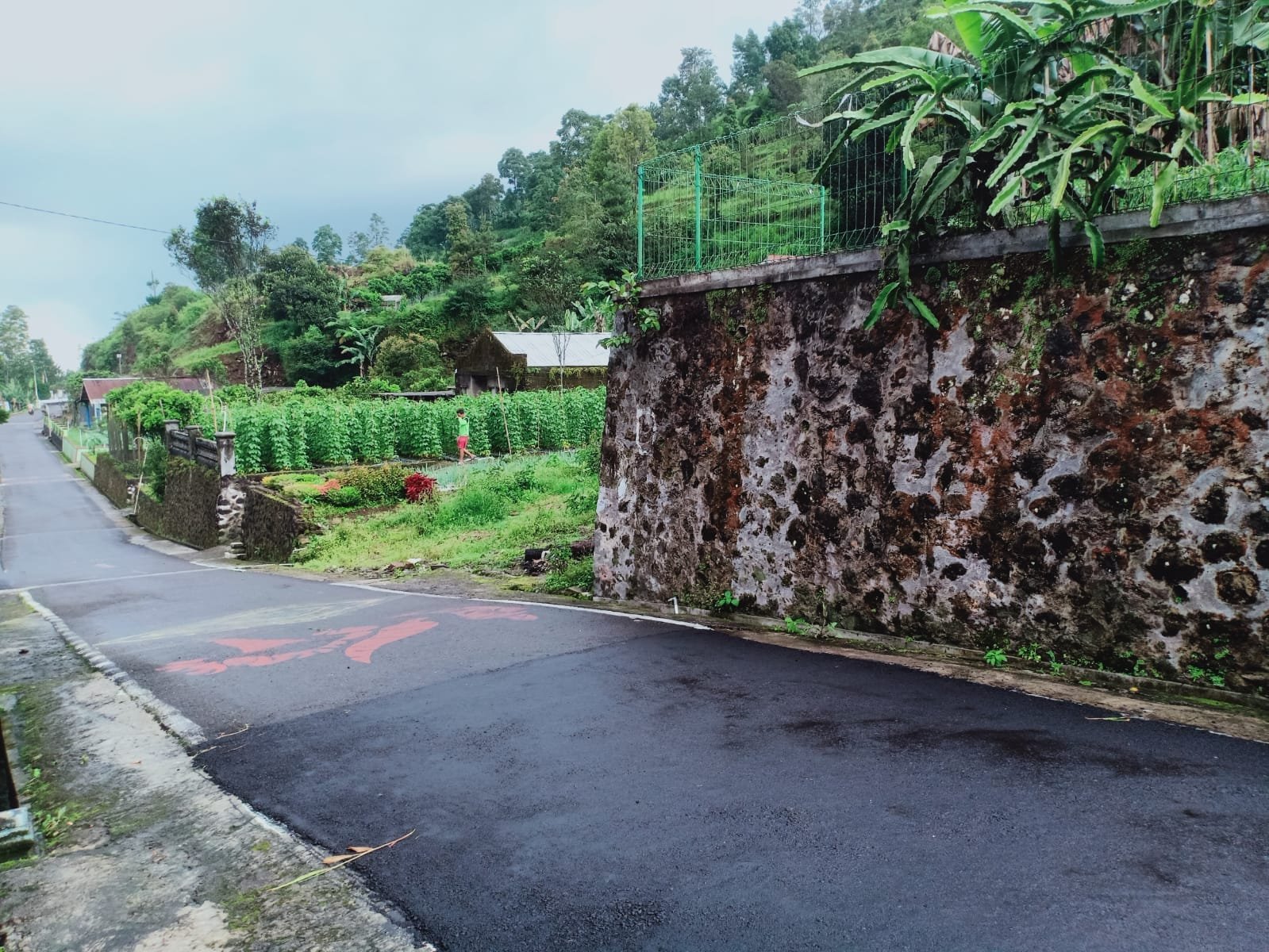 Tanah View Perbukitan Kemuning Ngargoyoso Karanganyar - 2