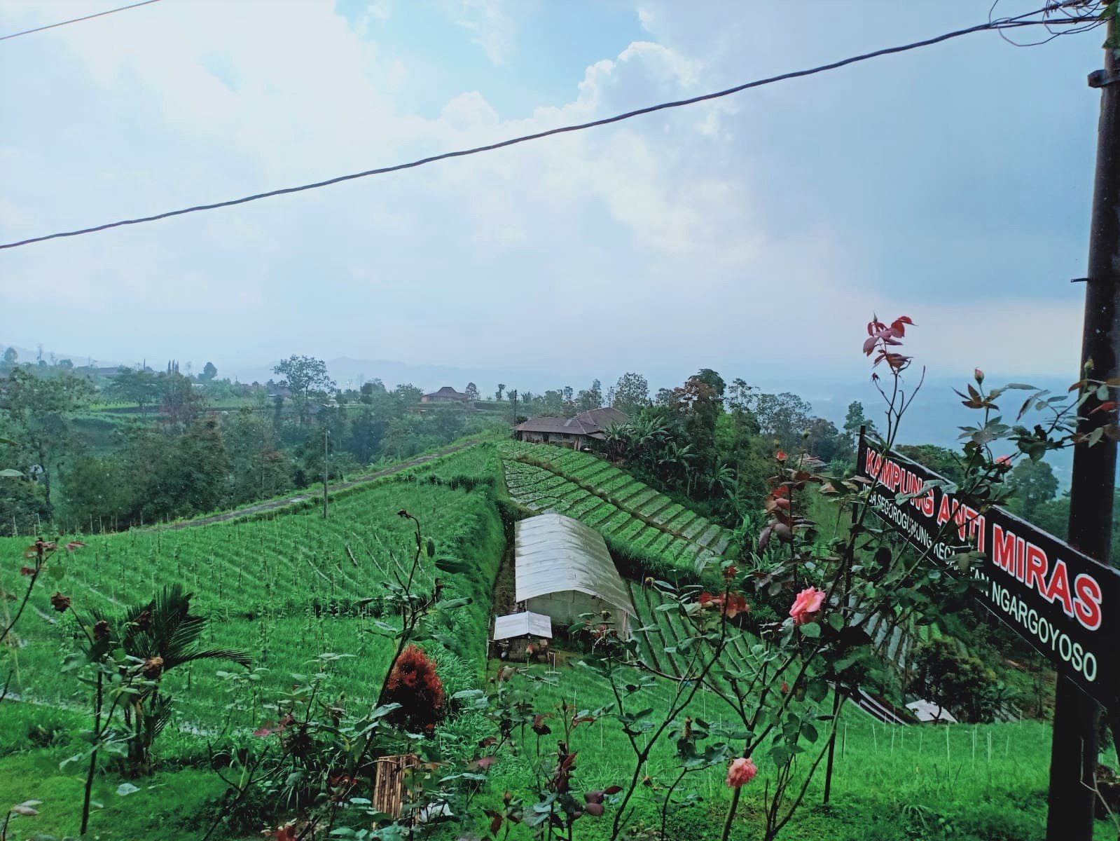 Tanah View Perbukitan Kemuning Ngargoyoso Karanganyar - 5