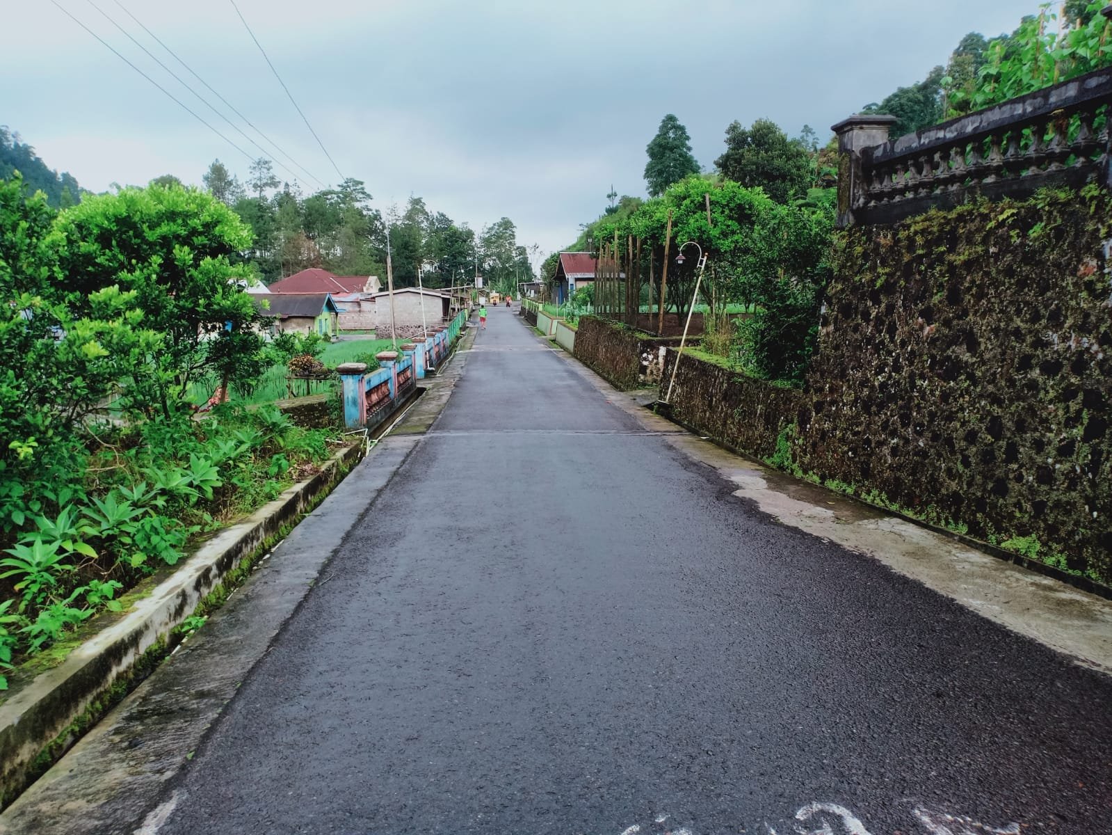 Tanah View Perbukitan Kemuning Ngargoyoso Karanganyar - 6