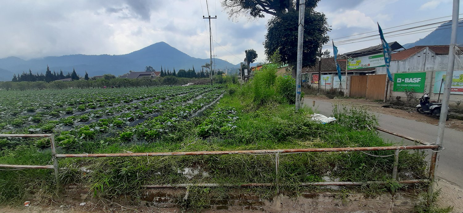 TANAH KOMERSIAL DI LEMBANG BANDUNG - 5