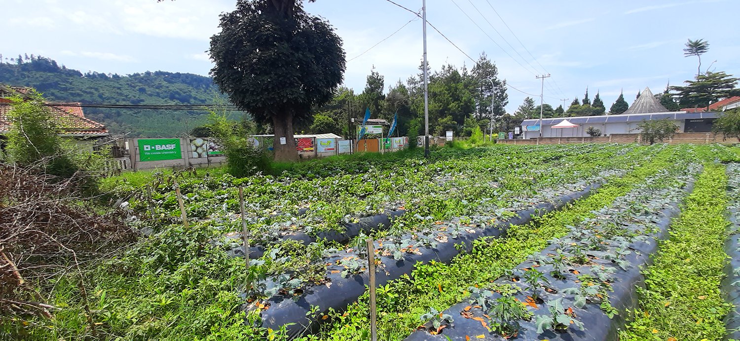 TANAH KOMERSIAL DI LEMBANG BANDUNG - 2