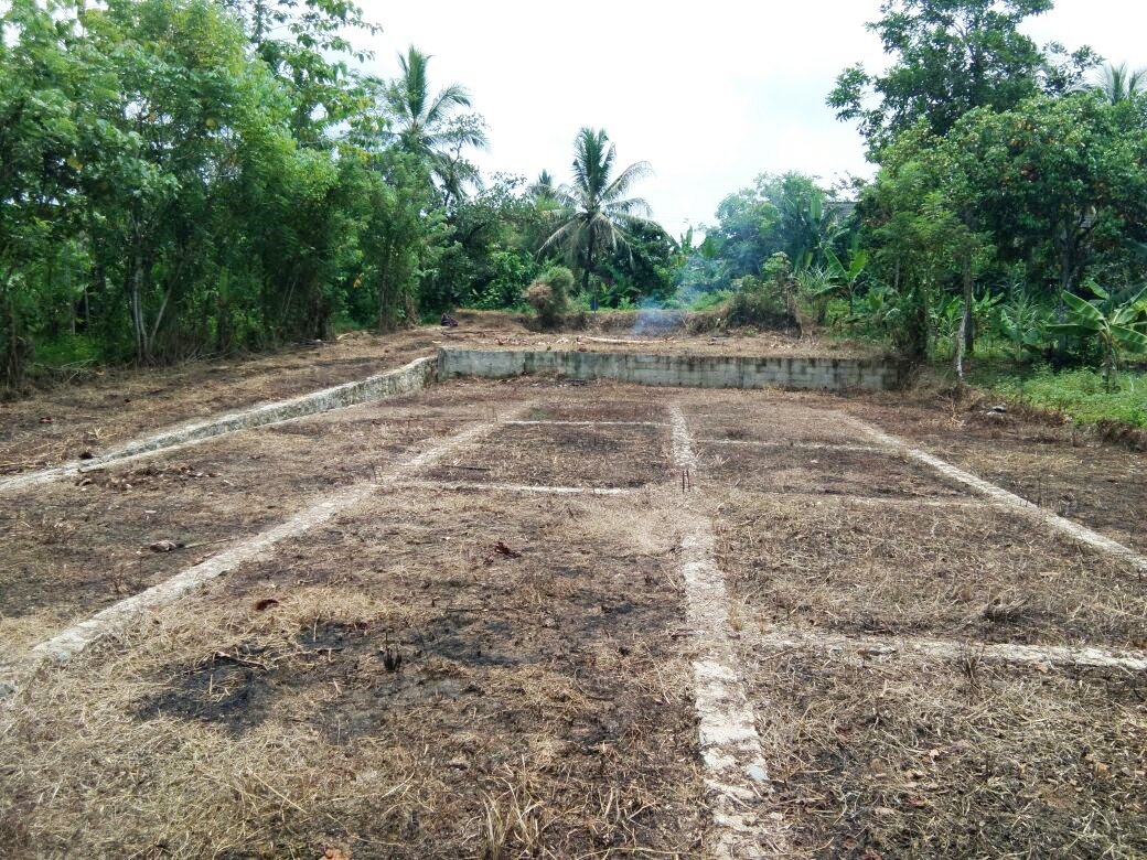 Jual Tanah Murah di Tenjo Bogor Dekat Kantor Desa Bojong dan Puskesmas Pasar Rebo Tenjo Bogor - 2