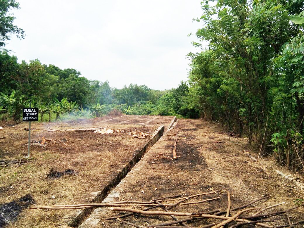 Jual Tanah Murah di Tenjo Bogor Dekat Kantor Desa Bojong dan Puskesmas Pasar Rebo Tenjo Bogor - 12