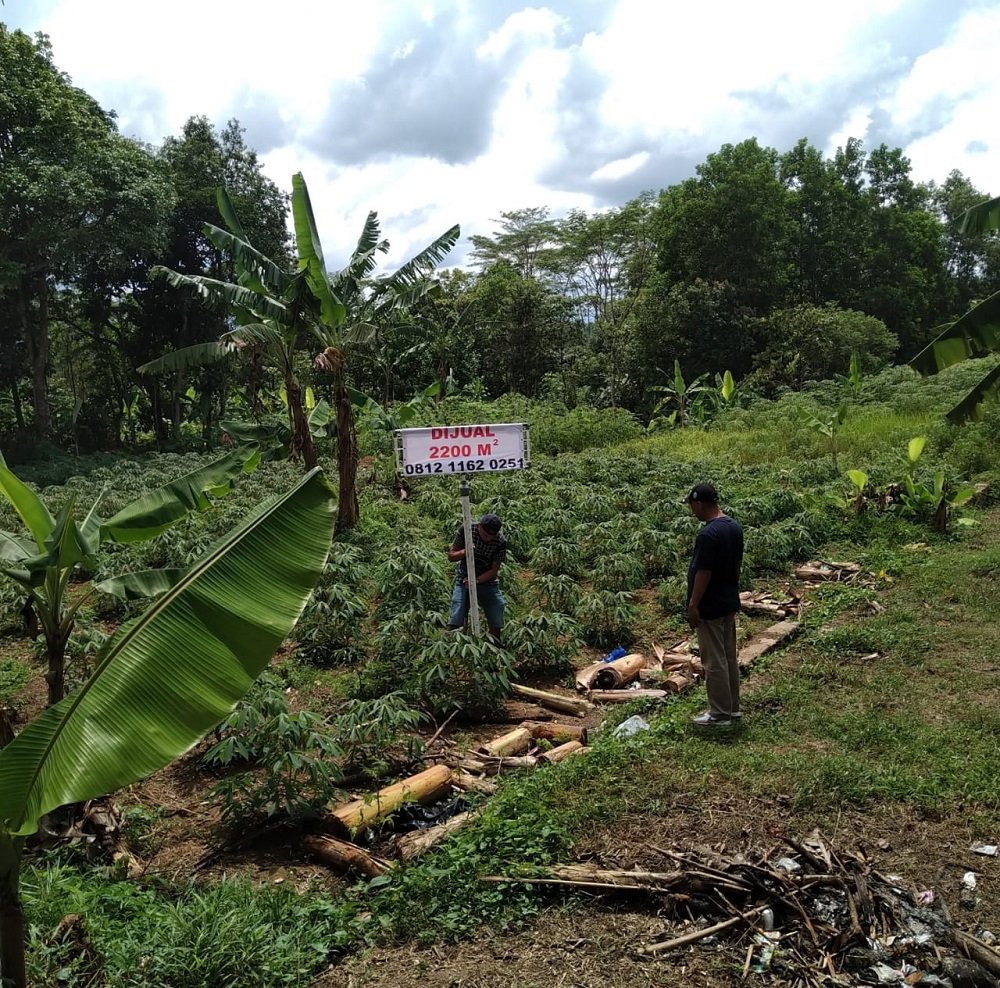 Jual Tanah Murah di Tenjo Bogor Dekat Kantor Desa Bojong dan Puskesmas Pasar Rebo Tenjo Bogor - 8