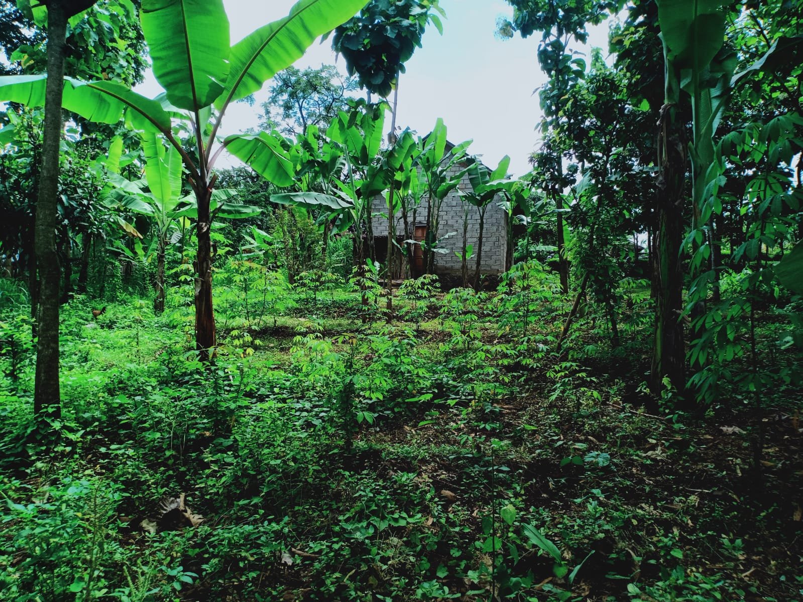 Rumah Siap Huni Mojogedang Karanganyar - 4