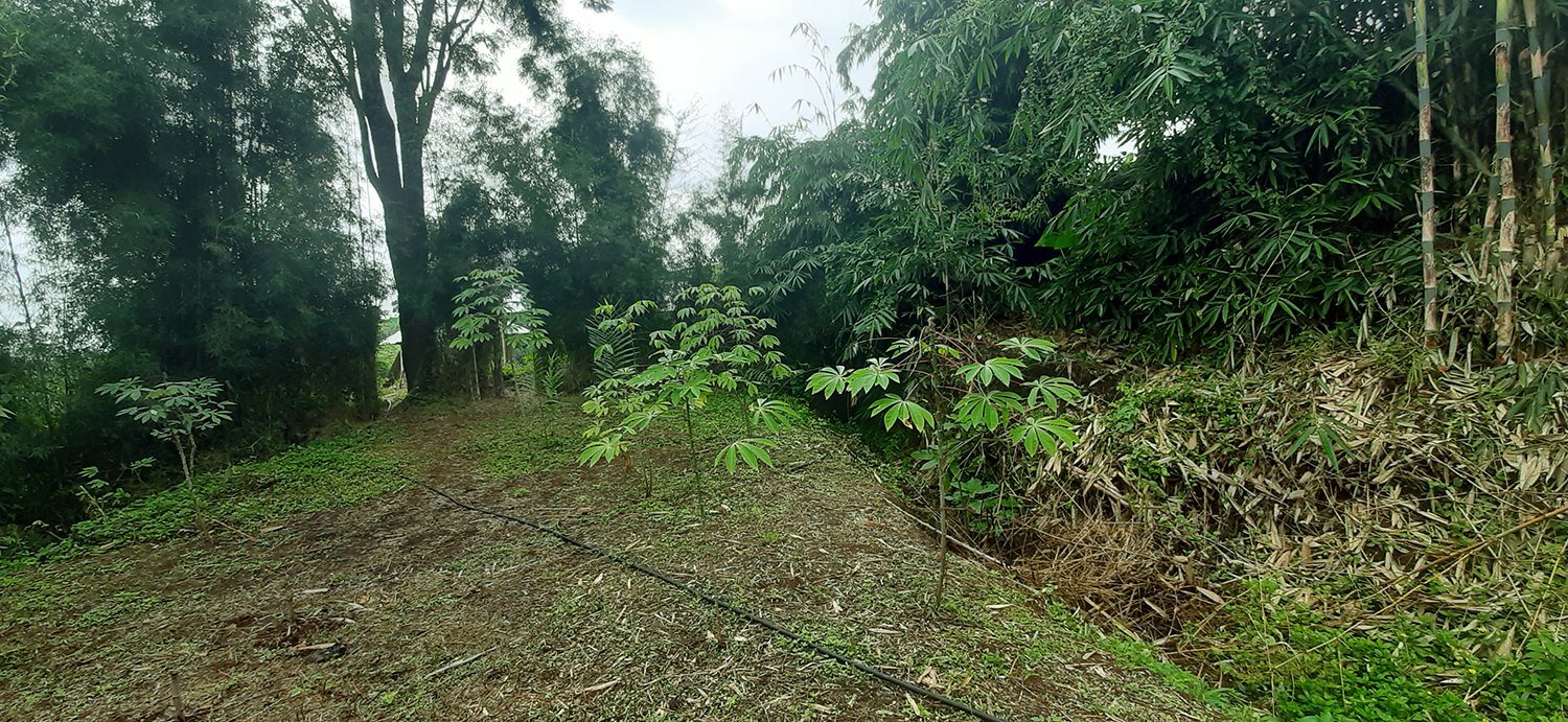 TANAH KOMERSIAL DI CIMENYAN BANDUNG - 4