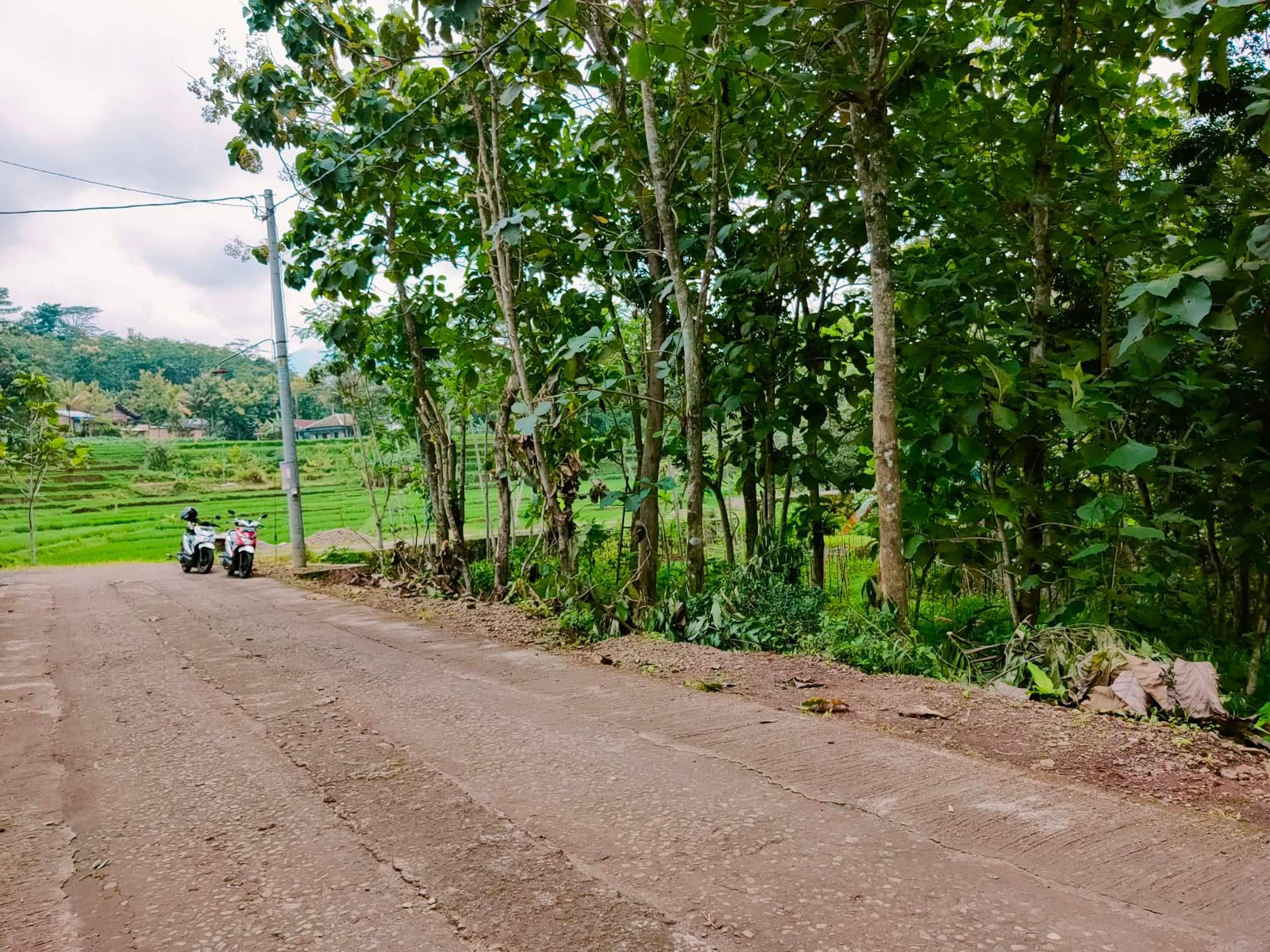 Tanah Strategis dibangun Villa Karangpandan Karanganyar - 5