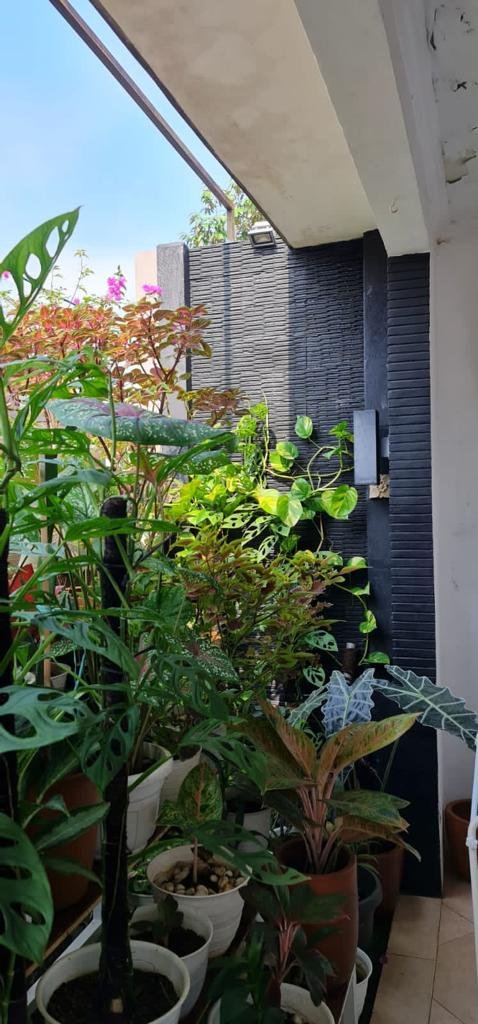 Dijual Rumah Full Furnished di Kebagusan Raya, Jagakarsa Jakarta Selatan - 4