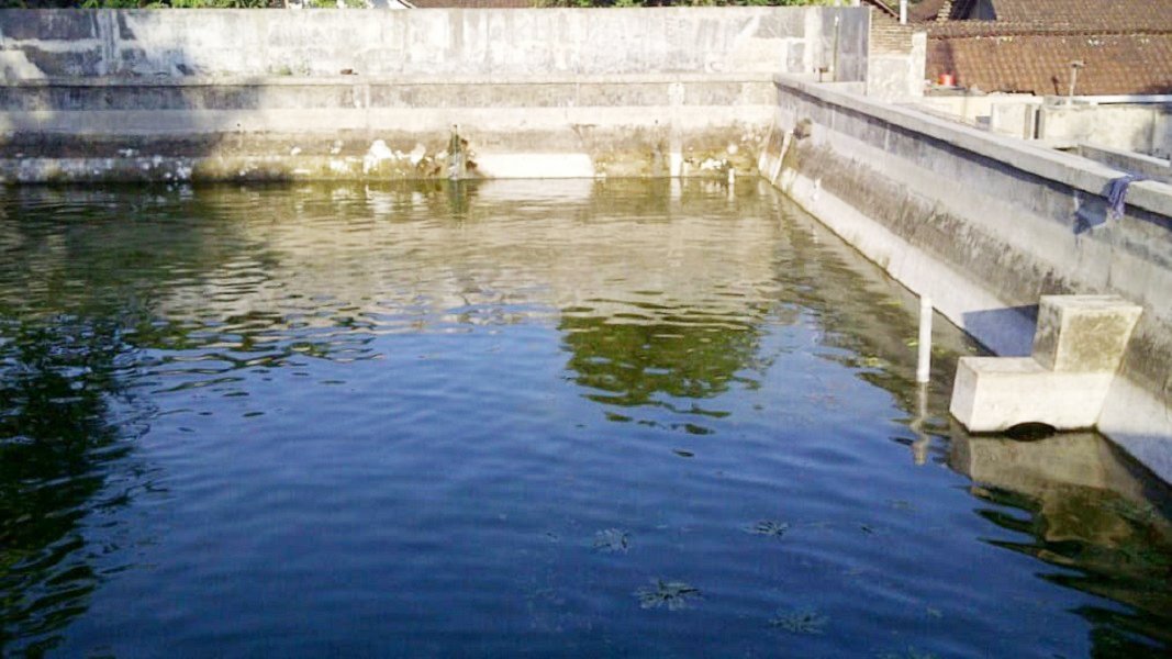 Jual Rumah Plus Usaha Burung Walet dan Budidaya Ikan di Gandusari Blitar Dekat Candi Kotes, Pasar Tugu - 14