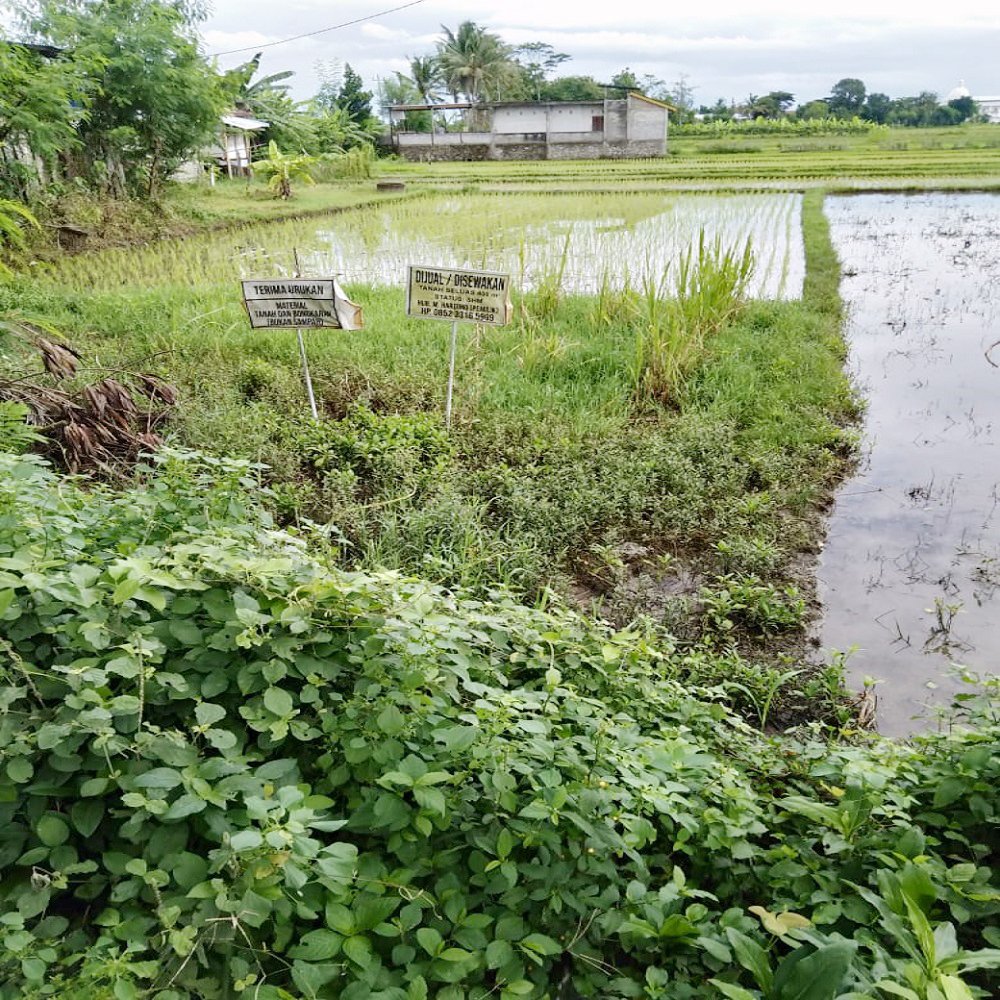 Jual Tanah di Bantul Yogyakarta Dekat RS Rachma Husada, Desa Wisata Potrobayan, Taman Opak Zoo - 4