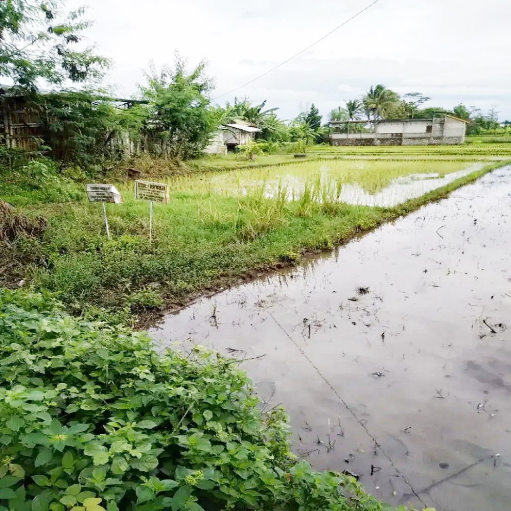 Jual Tanah di Bantul Yogyakarta Dekat RS Rachma Husada, Desa Wisata Potrobayan, Taman Opak Zoo - 2