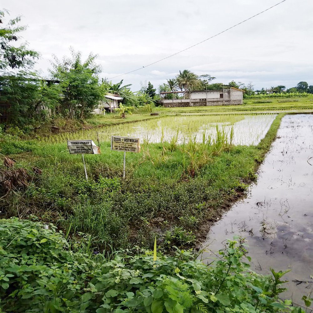Jual Tanah di Bantul Yogyakarta Dekat RS Rachma Husada, Desa Wisata Potrobayan, Taman Opak Zoo - 3