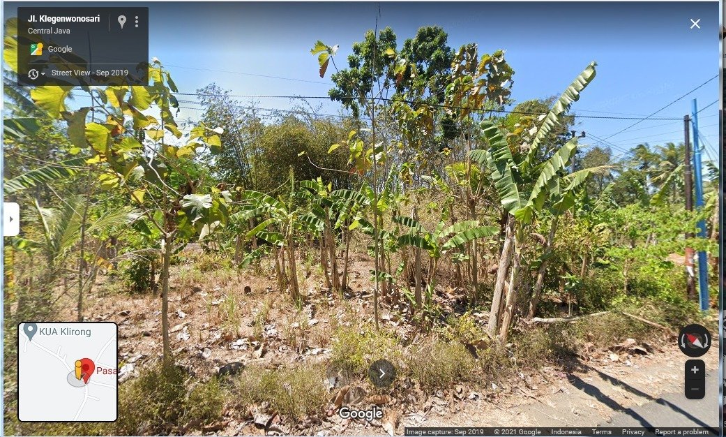 TURUN HARGA !!! Dijual Cepat Tanah Lokasi Strategis di Daerah Klegen Wonosari, Kec.Klirong, Kebumen - 10