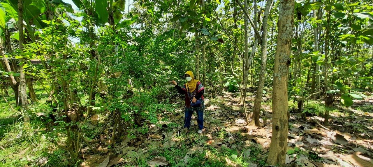 TURUN HARGA !!! Dijual Cepat Tanah Lokasi Strategis di Daerah Klegen Wonosari, Kec.Klirong, Kebumen - 2