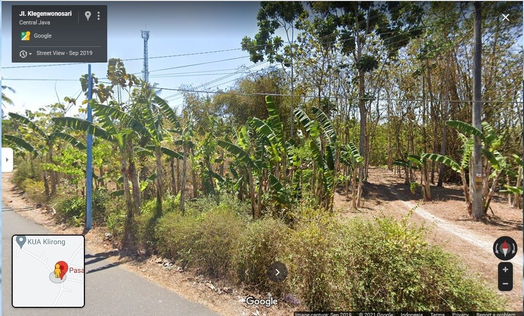 TURUN HARGA !!! Dijual Cepat Tanah Lokasi Strategis di Daerah Klegen Wonosari, Kec.Klirong, Kebumen - 8