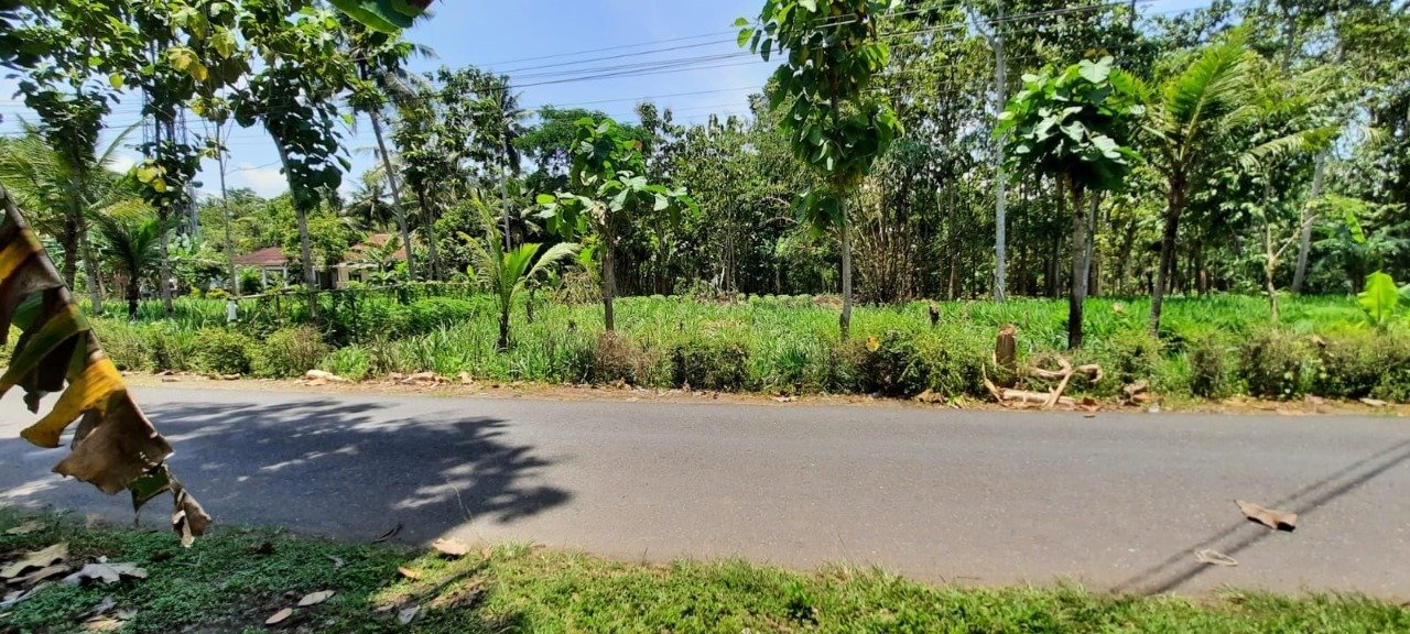 TURUN HARGA !!! Dijual Cepat Tanah Lokasi Strategis di Daerah Klegen Wonosari, Kec.Klirong, Kebumen - 7