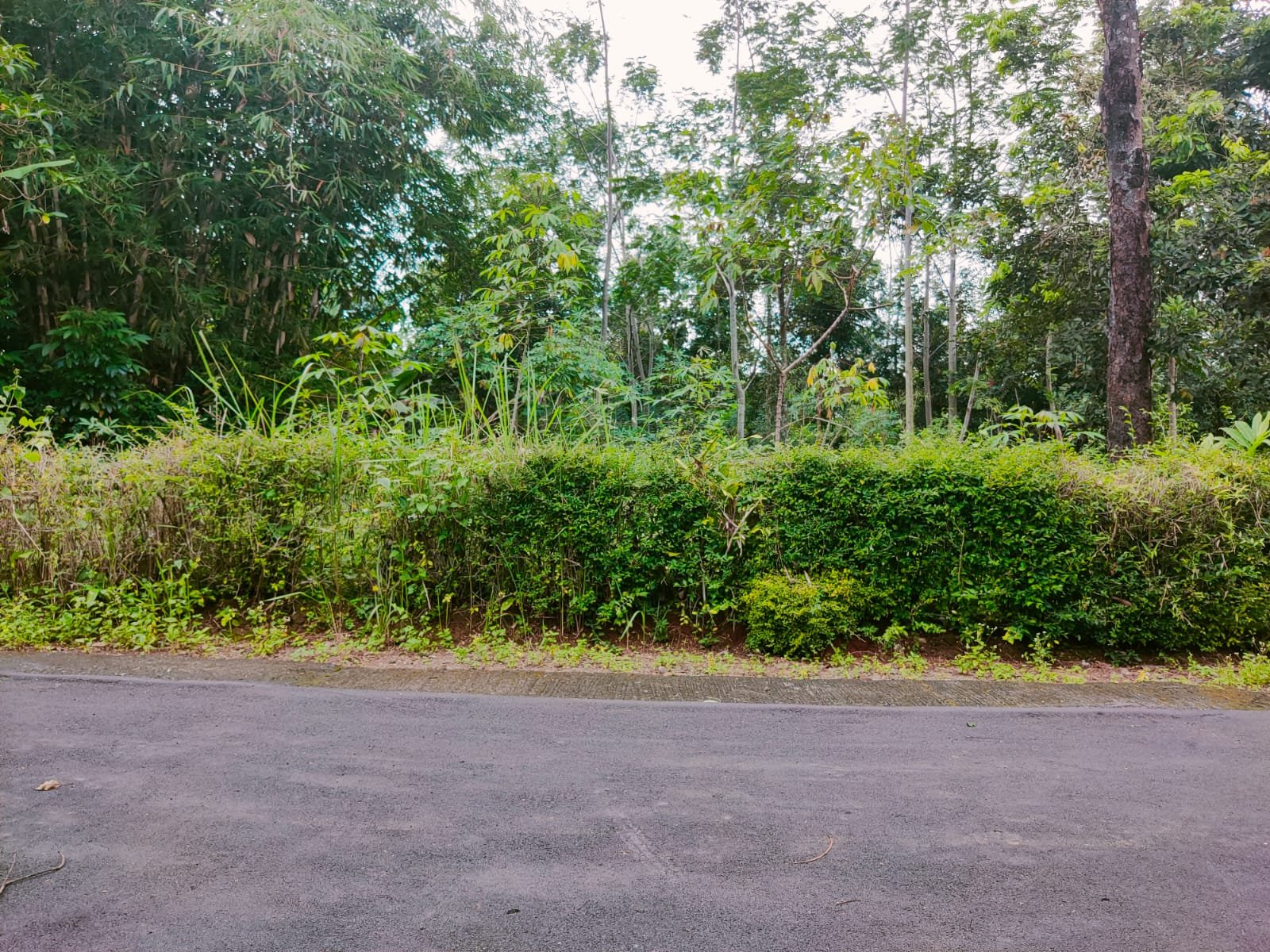 Tanah Datar Barat Pasar Karangpandan Karanganyar - 2