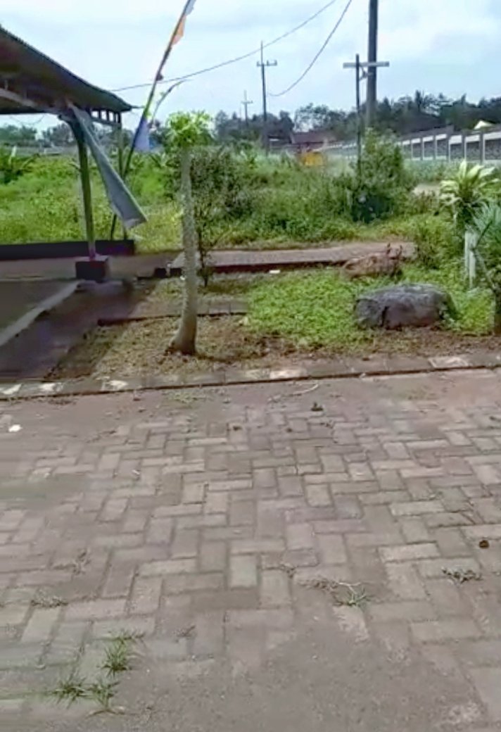 Tanah Kavling pinggir jalan depan pabrik pengemasan di Malang 70 juta siap air listrik dan fasum. - 3