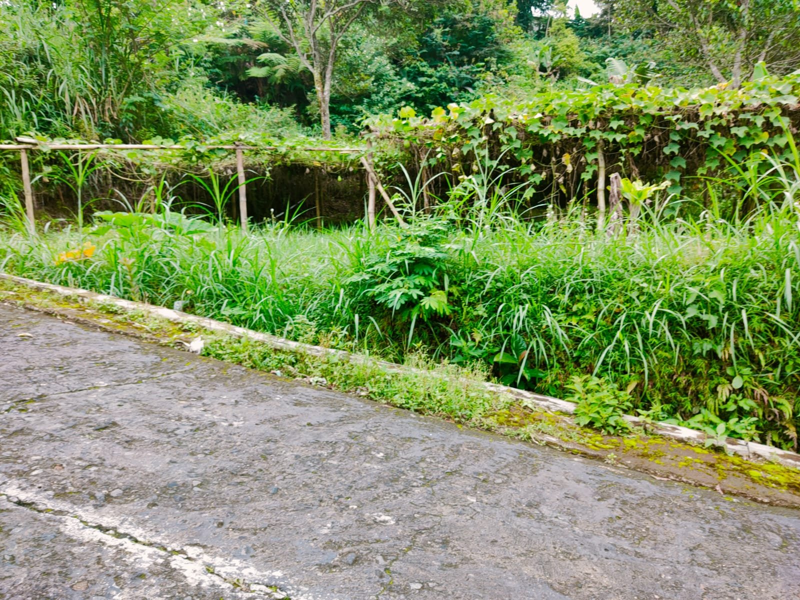 Tanah Strategis Dibangun Villa Tawangmangu Karanganyar - 2