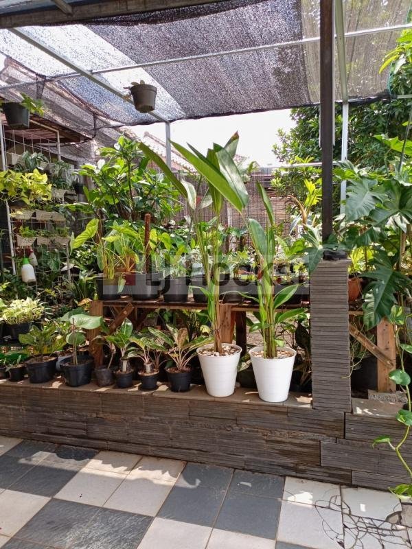 Dijual Rumah 2 lantai asri, nyaman, aman dalam cluster one gate di Bojongsari Depok - 2