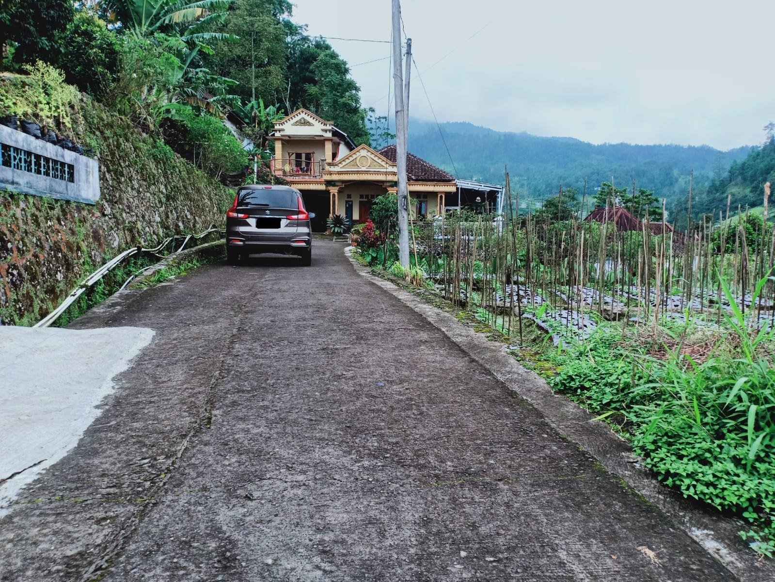 Tanah Strategis Dibangun Villa Kemuning Karanganyar - 2