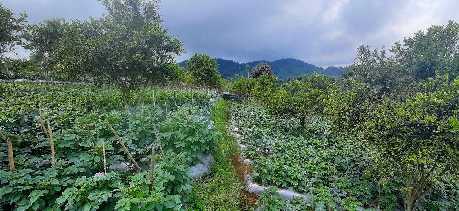 TANAH KOMERSIAL DI LEMBANG BANDUNG - 6
