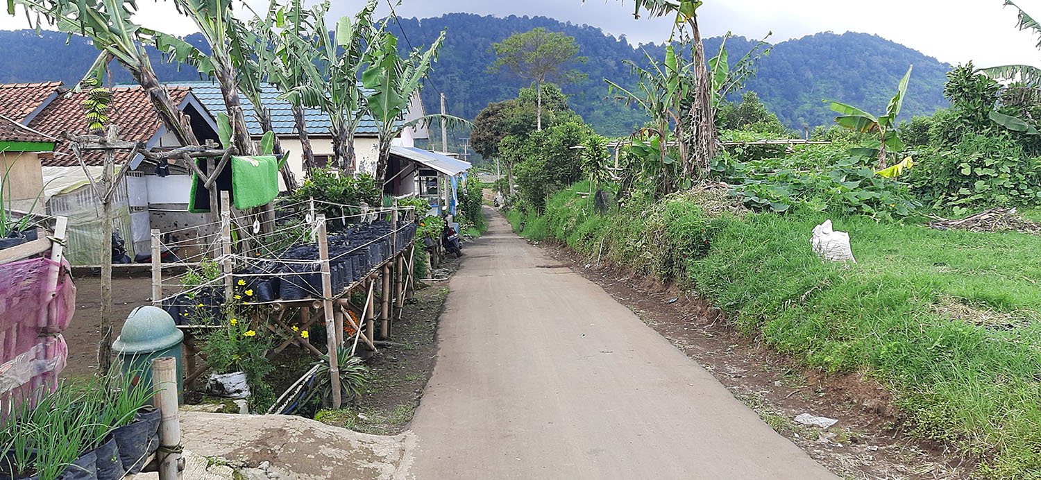TANAH KOMERSIAL DI LEMBANG BANDUNG - 11