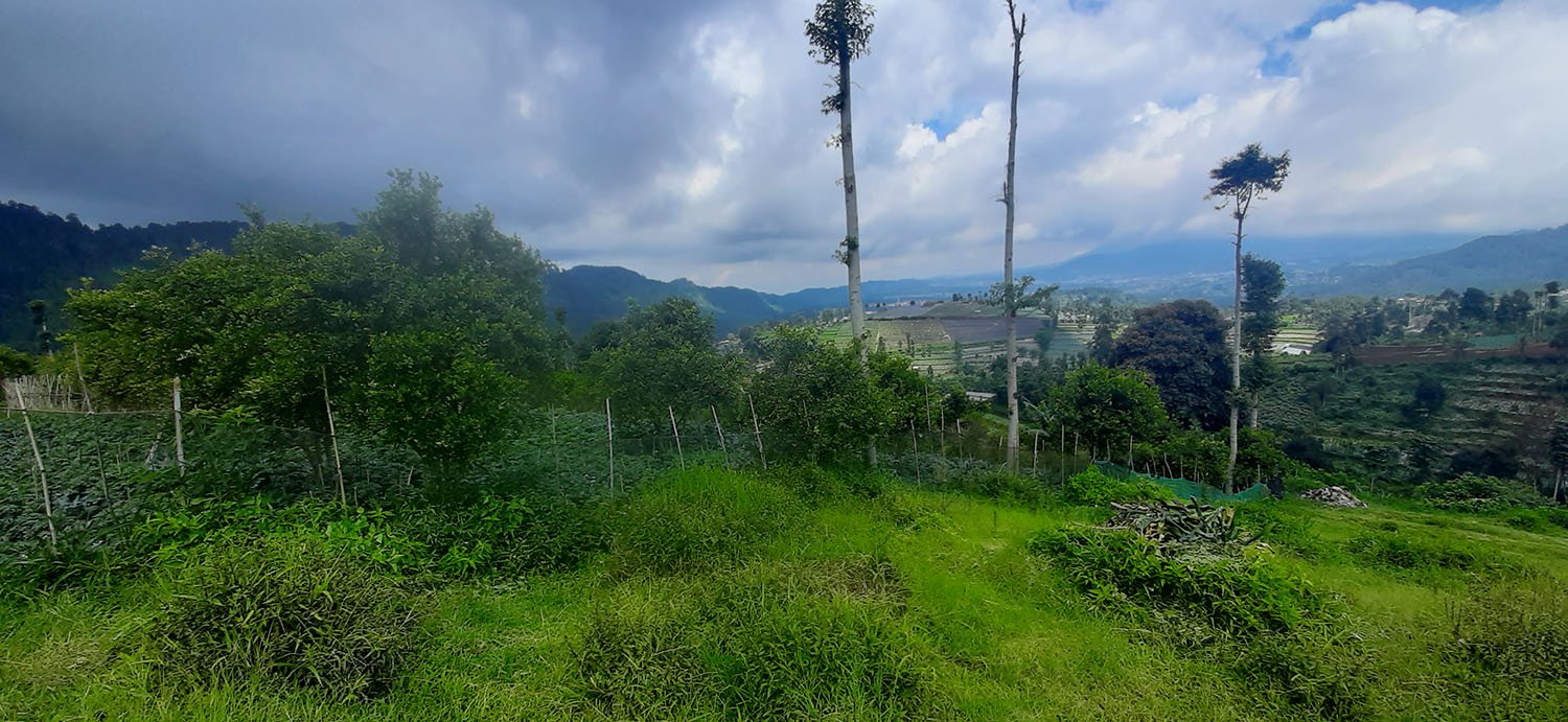 TANAH KOMERSIAL DI LEMBANG BANDUNG - 9