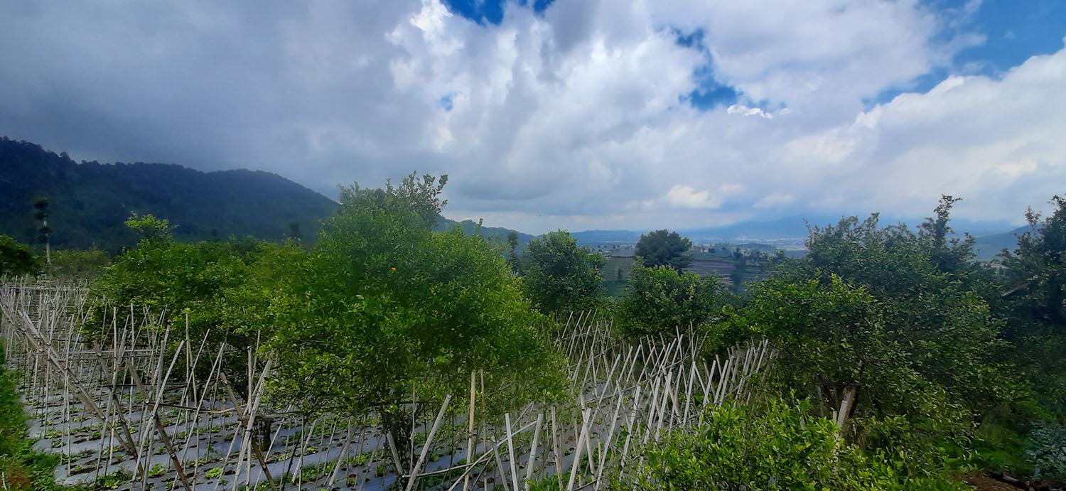 TANAH KOMERSIAL DI LEMBANG BANDUNG - 4