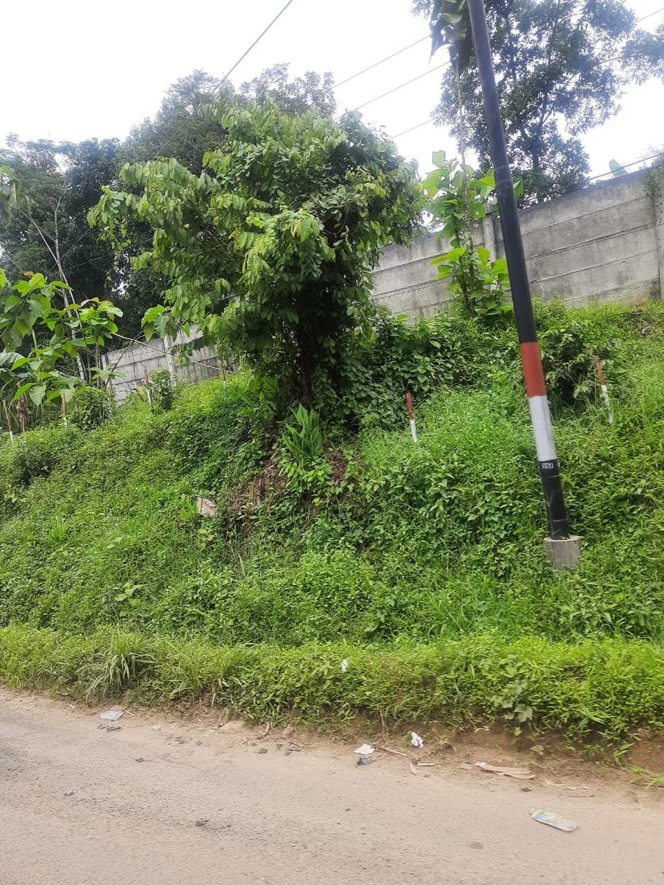 TERMURAH !!! TANAH JONGGOL HARGA TERBARU HANYA RP200/M2 - 2
