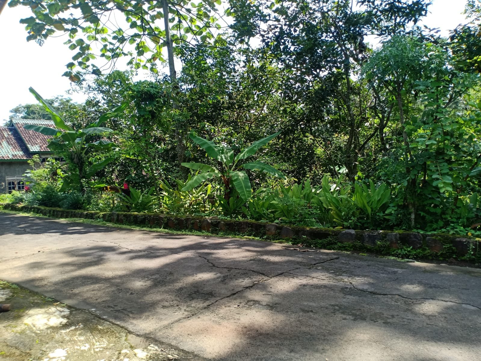 Tanah Idaman Cocok untuk Homestay Karanganyar - 4