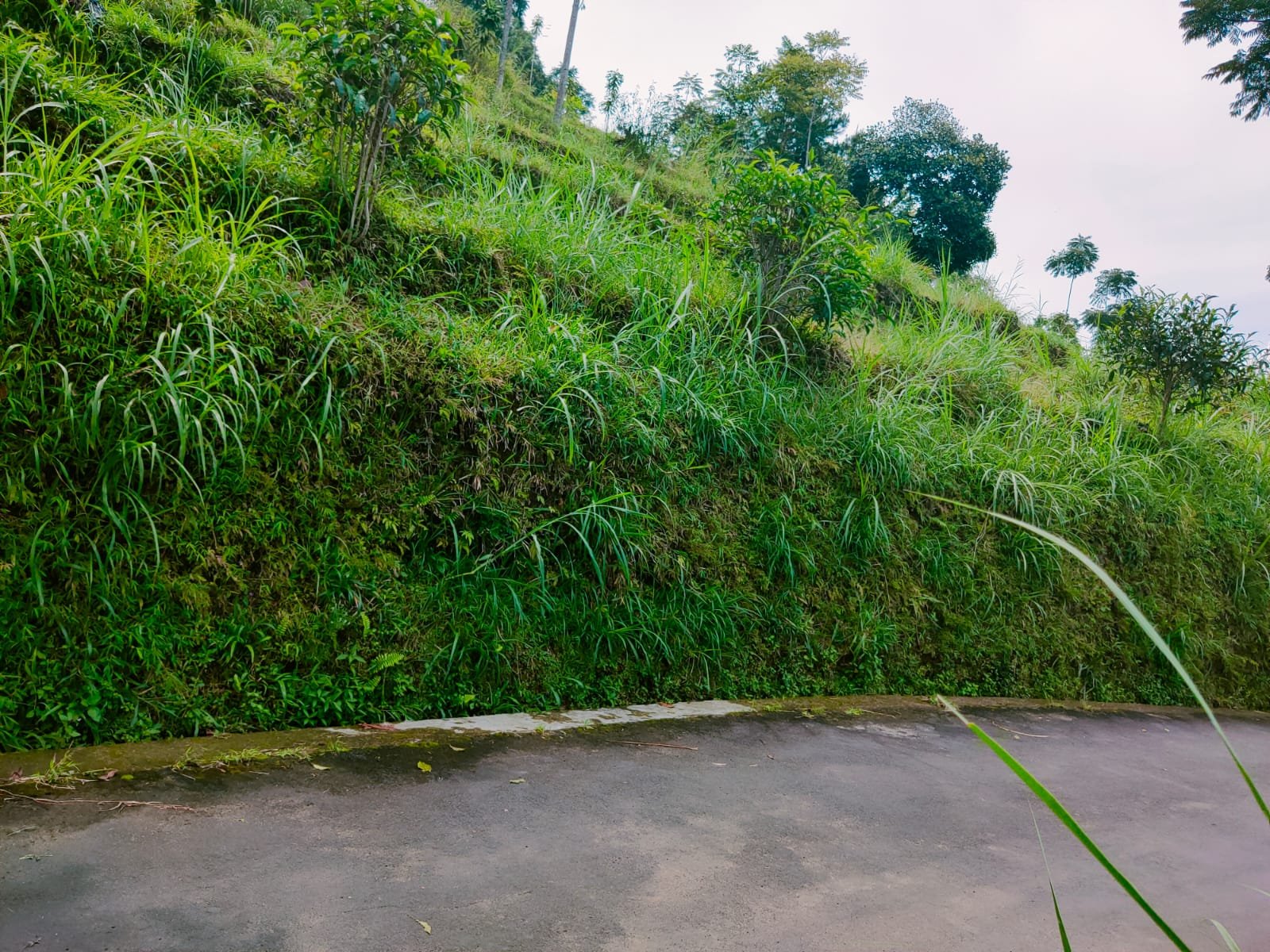 Tanah Idaman Cocok untuk Villa Kemuning Karanganyar - 2