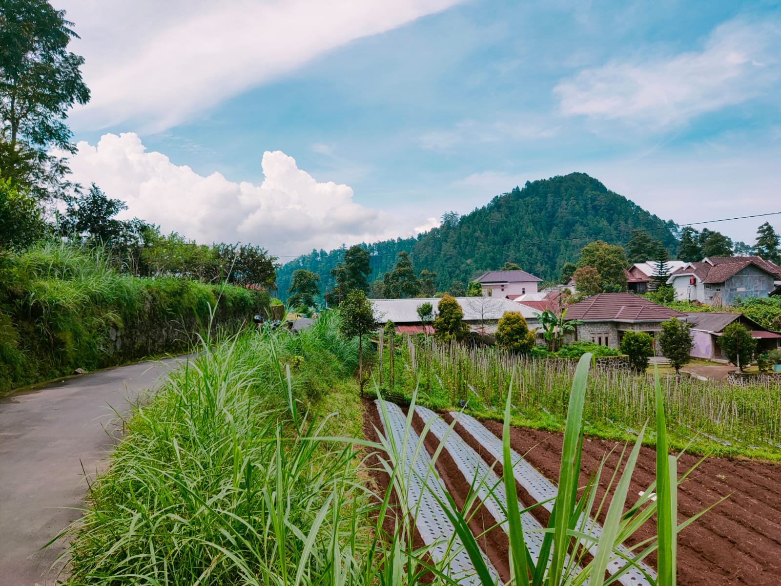 Tanah Idaman Cocok untuk Villa Kemuning Karanganyar - 4