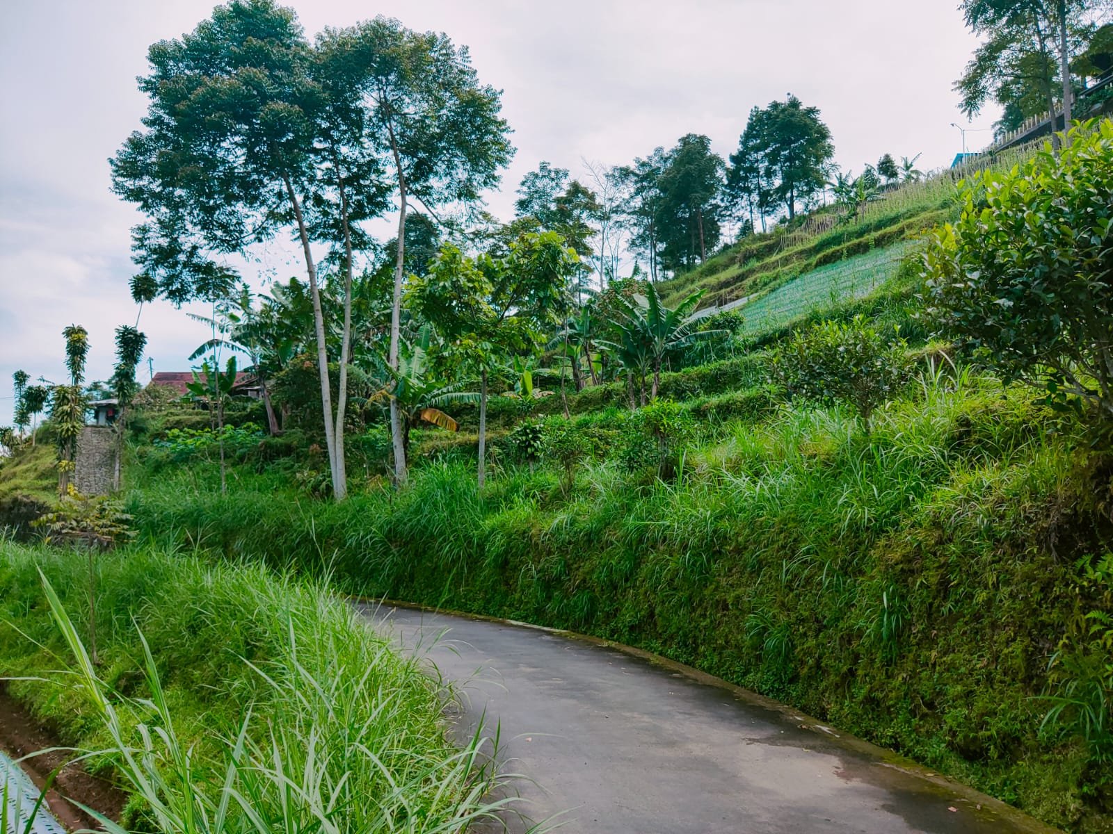 Tanah Idaman Cocok untuk Villa Kemuning Karanganyar - 3