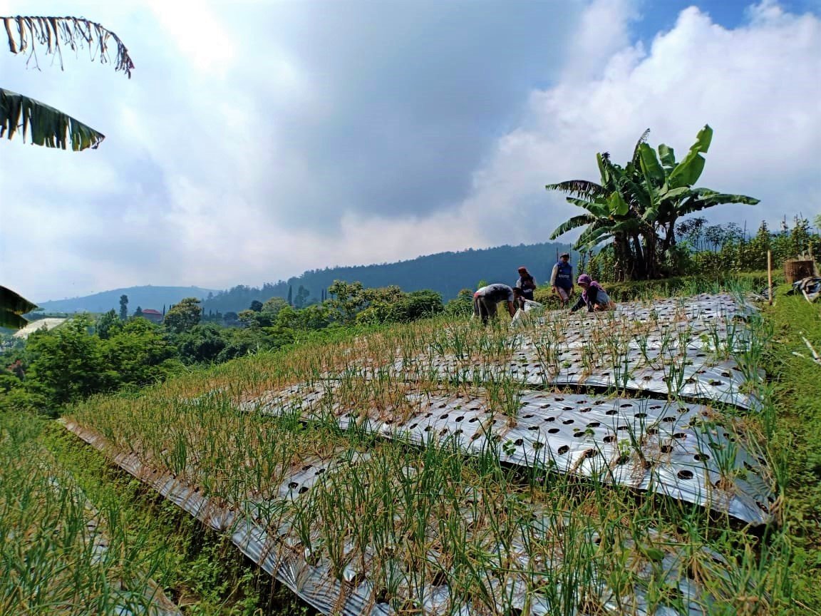 Tanah Idaman Kemuning Ngargoyoso Karanganyar - 4