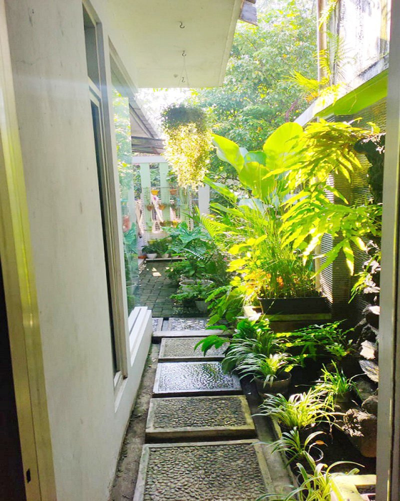 Rumah Dijual di Blora Dekat Luwes Mall, Alun-alun Blora, RSUD Dr. R Soetijono Blora, Tugu Pancasila Blora, Pasar Induk - 9
