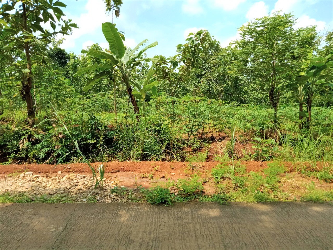 Tanah 12400m² Jumapolo Karanganyar - 2